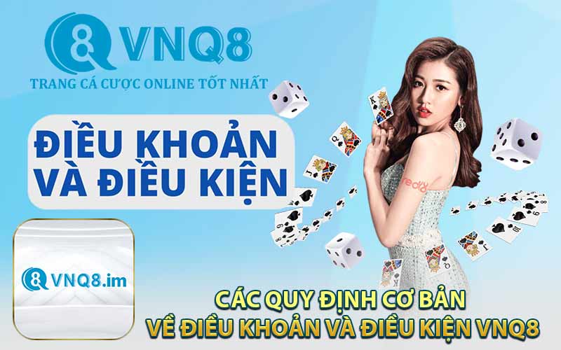 Các Quy Định Cơ Bản Về Điều Khoản Và Điều Kiện VNQ8