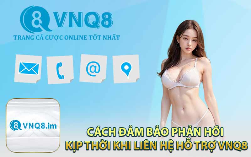 Cách Đảm Bảo Phản Hồi Kịp Thời Khi Liên Hệ Hỗ Trợ VNQ8