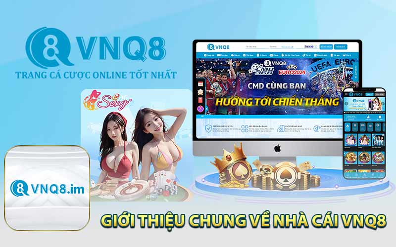 Giới Thiệu Chung Về Nhà Cái VNQ8