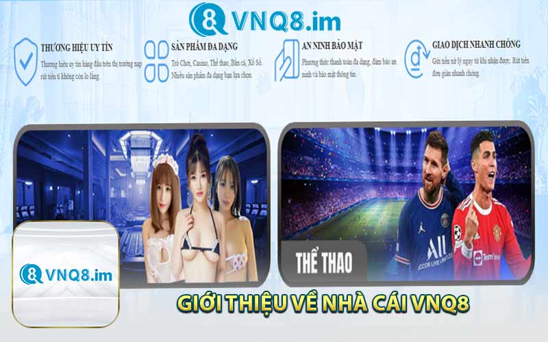 Giới Thiệu Về Nhà Cái VNQ8