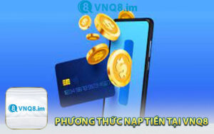 Giới Thiệu Các Phương Thức Nạp Tiền Tại VNQ8